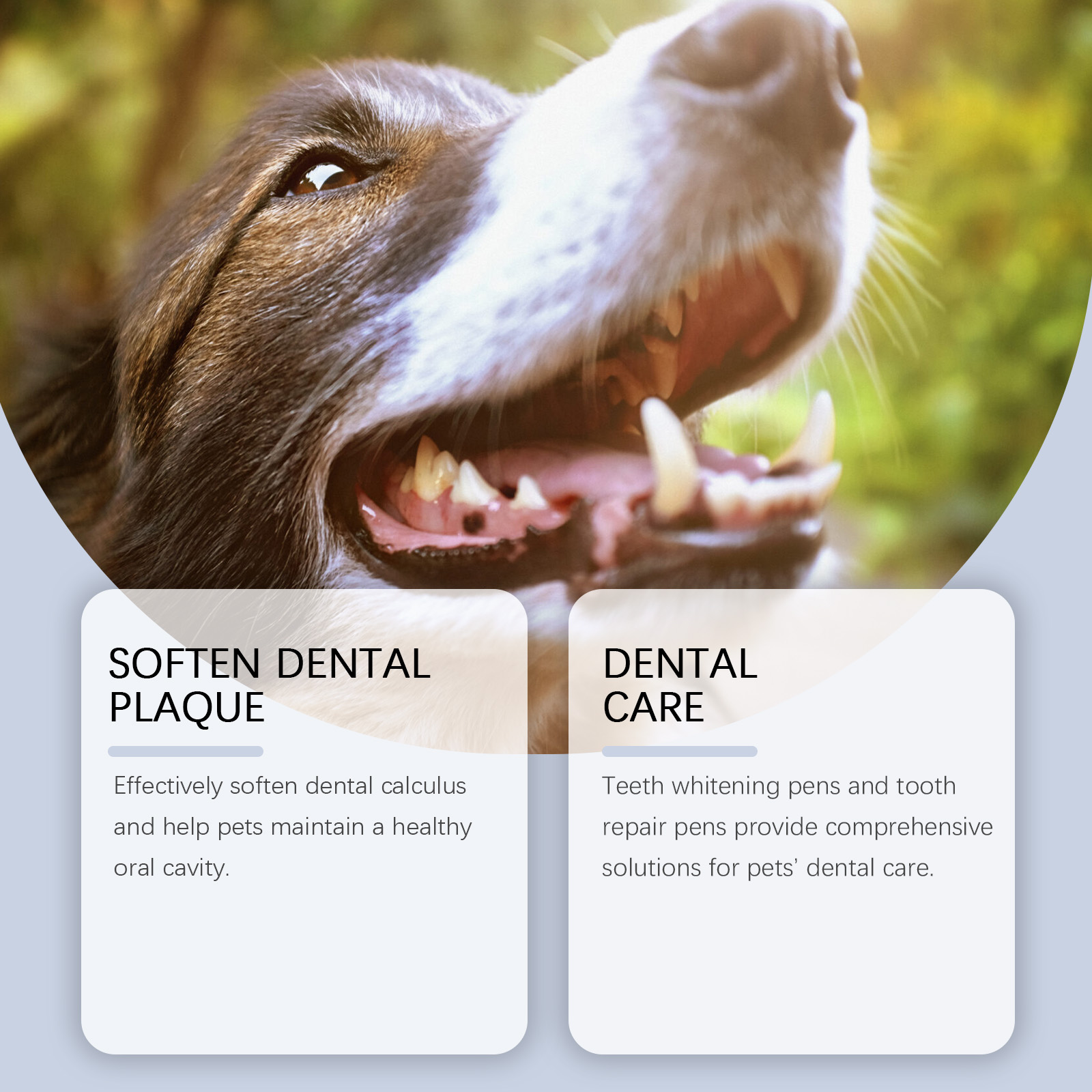 Zestaw do wybielania zębów dla – Teeth Whitening Pens recenzja i cena